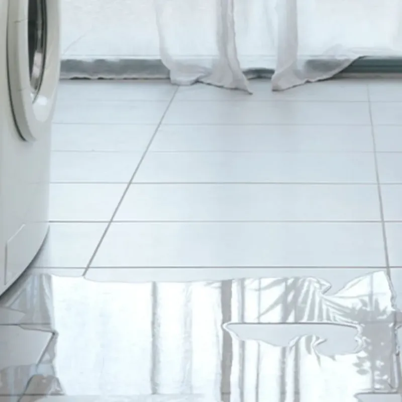 Appliance Leak Cleanup in Siesta Shores, TX